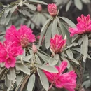 毕节旅游 缩略图 6