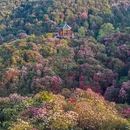贵阳旅游 缩略图 3