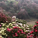 毕节旅游 缩略图 5