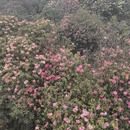 毕节旅游 缩略图 7