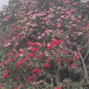 毕节旅游 缩略图 8