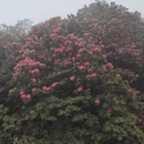 毕节旅游 缩略图 9
