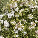 安顺旅游 缩略图 4