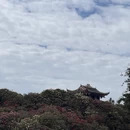 毕节旅游 缩略图 4