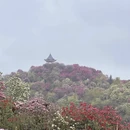 毕节旅游 缩略图 9