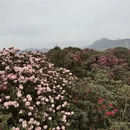 安顺旅游 缩略图 11