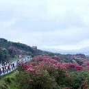 遵义旅游 缩略图 2