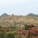 毕节旅游 缩略图 6
