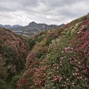 毕节旅游 缩略图 5