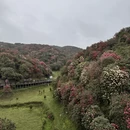 安顺旅游 缩略图 10