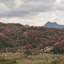 毕节旅游 缩略图 7