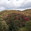 毕节旅游 缩略图 8