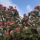 遵义旅游 缩略图 3