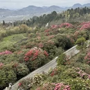 安顺旅游 缩略图 14
