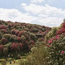 毕节旅游 缩略图 9
