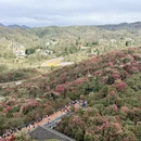 遵义旅游 缩略图 5