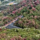 遵义旅游 缩略图 6