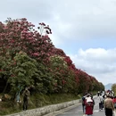 遵义旅游 缩略图 4