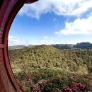 遵义旅游 缩略图 7