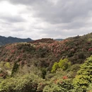 毕节旅游 缩略图 10
