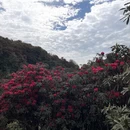 毕节旅游 缩略图 5