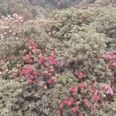 毕节旅游 缩略图 11