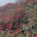 毕节旅游 缩略图 10