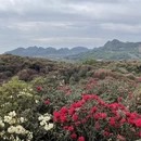 毕节旅游 缩略图 6