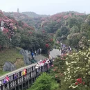 毕节旅游 缩略图 12