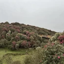 安顺旅游 缩略图 7
