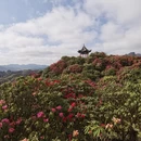 毕节旅游 缩略图 1