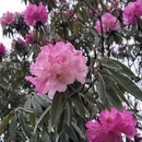 毕节旅游 缩略图 8