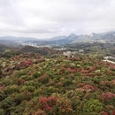 毕节旅游 缩略图 2