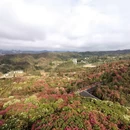 毕节旅游 缩略图 3