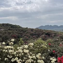 毕节旅游 缩略图 7