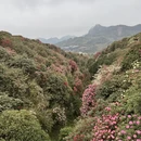 安顺旅游 缩略图 8