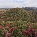 毕节旅游 缩略图 4