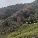 毕节旅游 缩略图 13