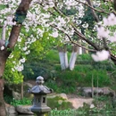 宁波旅游 缩略图 2