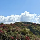 遵义旅游 缩略图 8