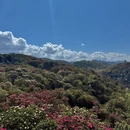 遵义旅游 缩略图 9
