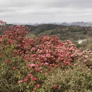 毕节旅游 缩略图 13