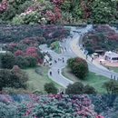 安顺旅游 缩略图 17