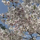 宁波旅游 缩略图 5