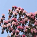 毕节旅游 缩略图 4