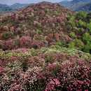 毕节旅游 缩略图 5