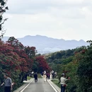 遵义旅游 缩略图 15