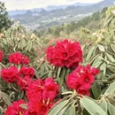 遵义旅游 缩略图 18