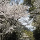 宁波旅游 缩略图 8