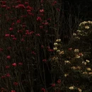 毕节旅游 缩略图 4